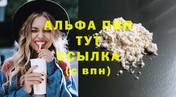стаф Горняк
