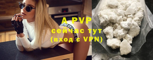 индика Наволоки