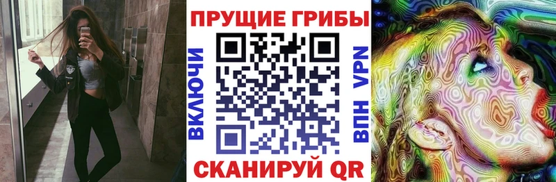ссылка на мегу как зайти  Очёр  Галлюциногенные грибы Psilocybine cubensis  купить  